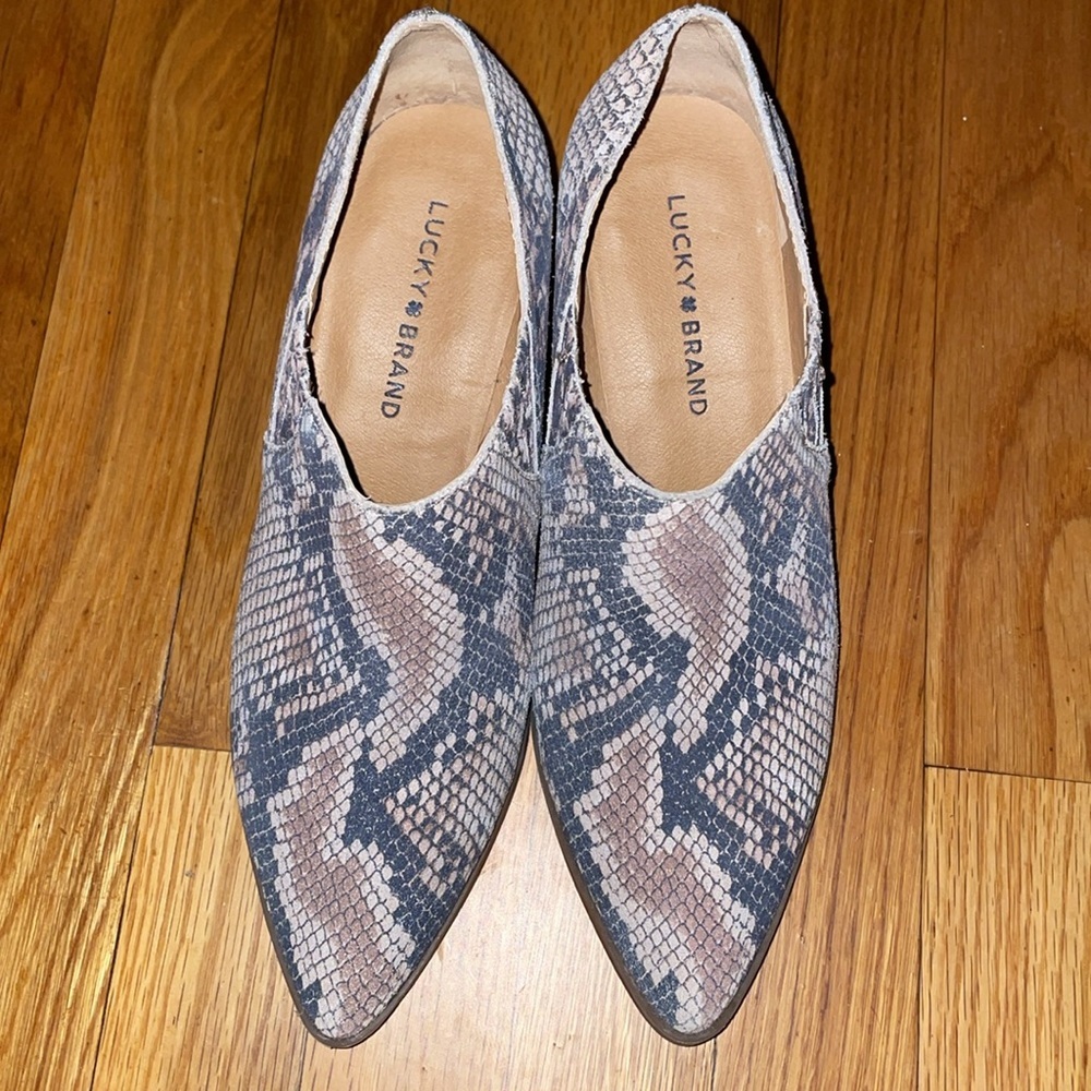 Lucky Brandy Tabea Leather Snakeskin Pattern Shoe/Ankle Bootie. Size 8.5. - Picture 1 of 11